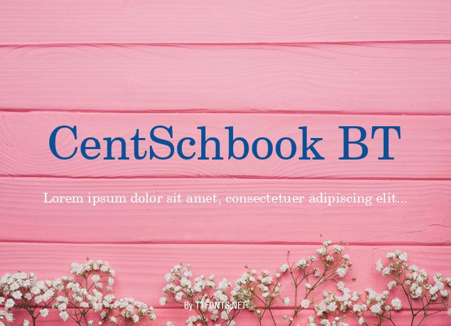 CentSchbook BT example